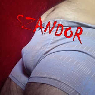 Owner Profile Picture