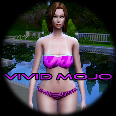 Owner Profile Picture