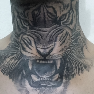 Owner Profile Picture
