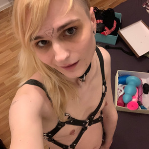 Owner Profile Picture