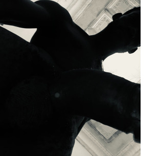 Owner Profile Picture