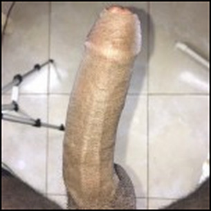 Owner Profile Picture