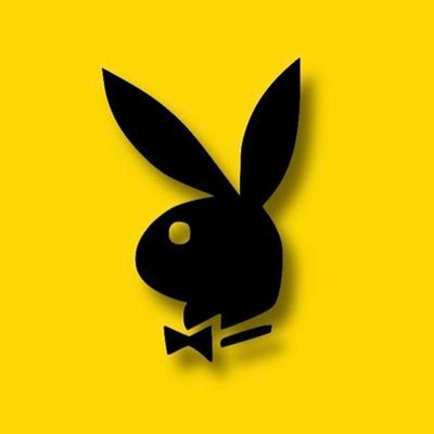Owner Profile Picture