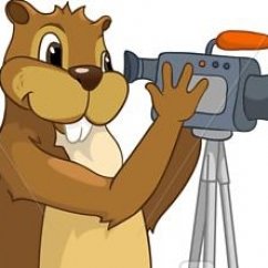 Owner Profile Picture