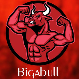 Owner Profile Picture