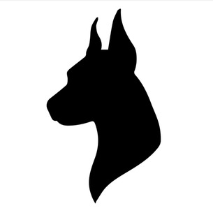Owner Profile Picture