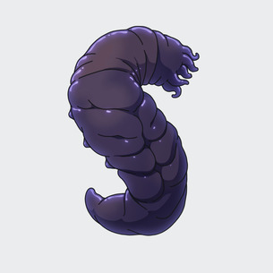 Owner Profile Picture