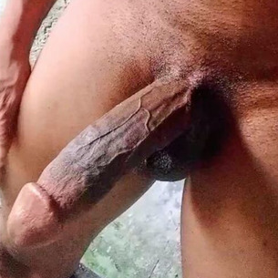 Owner Profile Picture