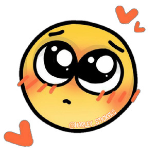 Owner Profile Picture