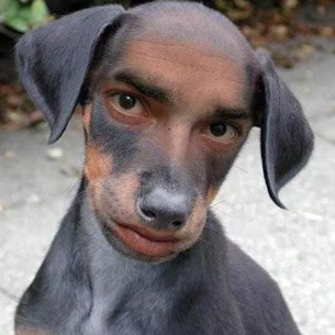 Owner Profile Picture