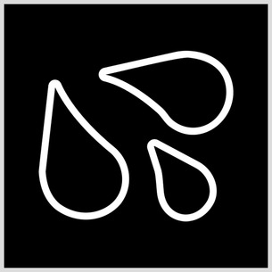 Owner Profile Picture